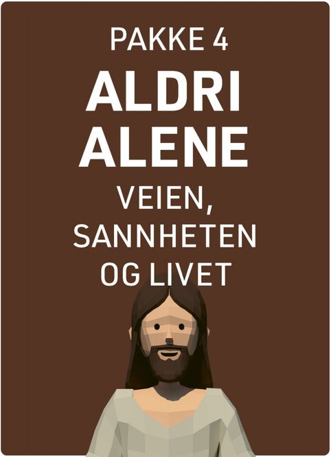 Hovedbilde Aldri Alene pakke 4